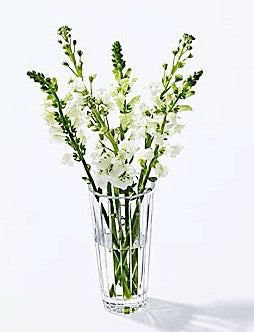 Waterford Herald Crystal Vase 10" tall Marquis Collection