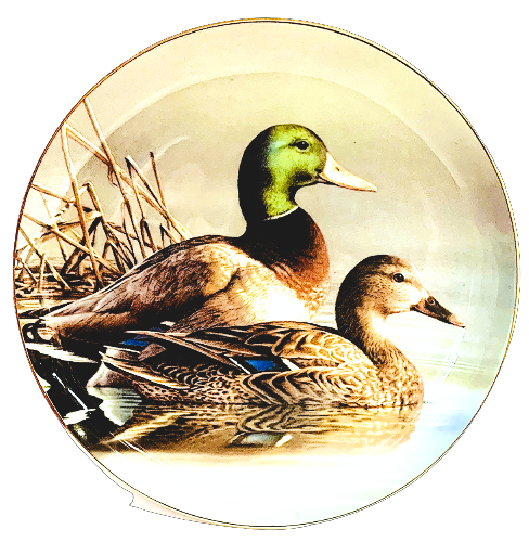 Ducks Plate 7.25" Bone China with Gold line rim