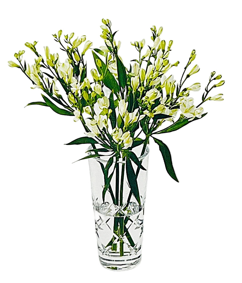 Clear glass vase with white flowers and green leaves on a light gray background