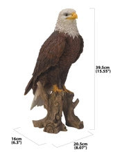 Bald Eagle High detailed Ceramic Statue 15.5"tall