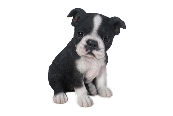 Boston Terrier Puppy Resin Statue 6.5" - Royal Gift