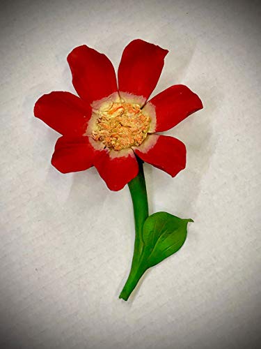 Capodimonte Daisy on Stem (Red) Porcelain Flower Hand Made in Italy - Royal Gift